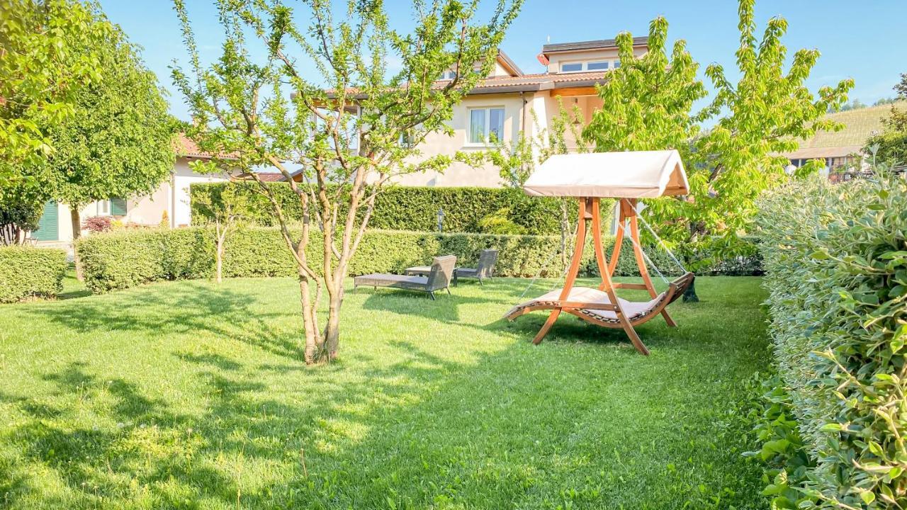 La Rosa Gialla Bio Apartments & Rooms Barolo Εξωτερικό φωτογραφία
